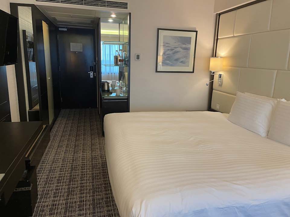 Zimmer Regal Airport Hotel