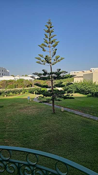 Ausblick Iberostar Waves Averroes