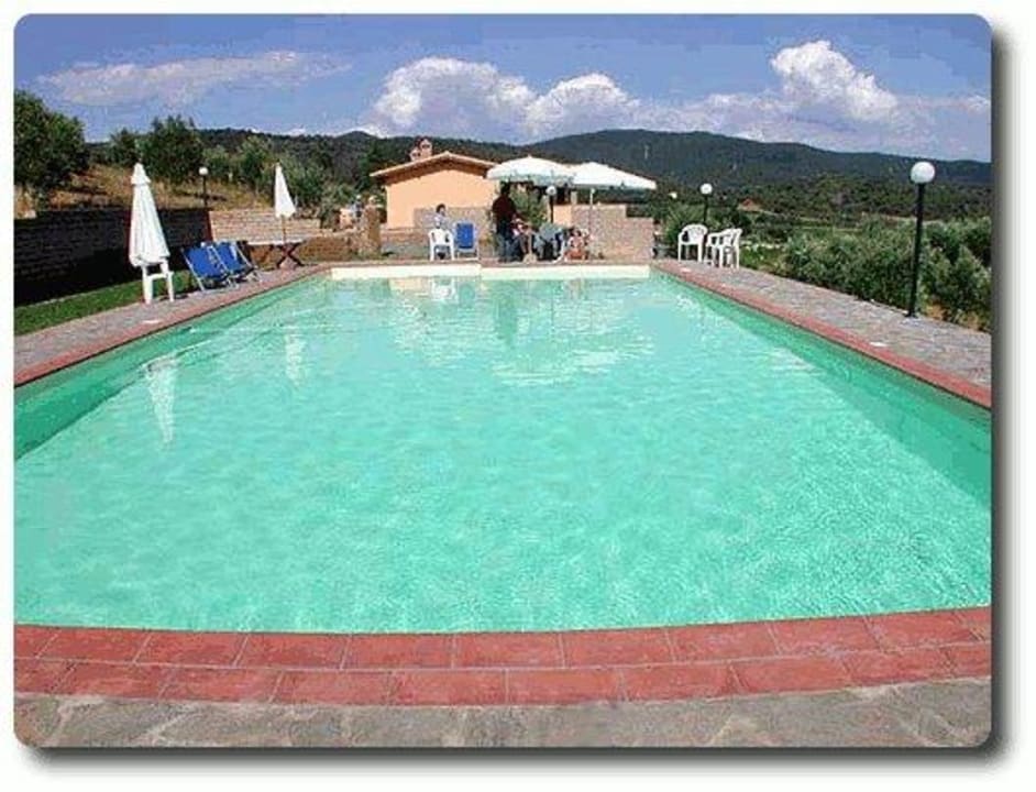 La nostra piscina circondata dagli ulivi Agriturismo Val di Nappo