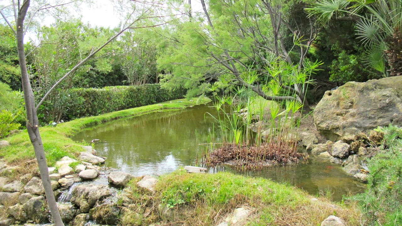 Blick in den kleinen Garten Villa Las Tronas