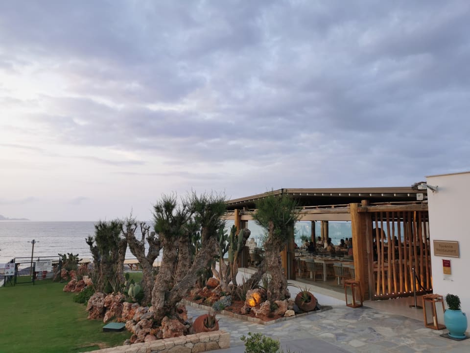 Gastro Mitsis Selection Rinela