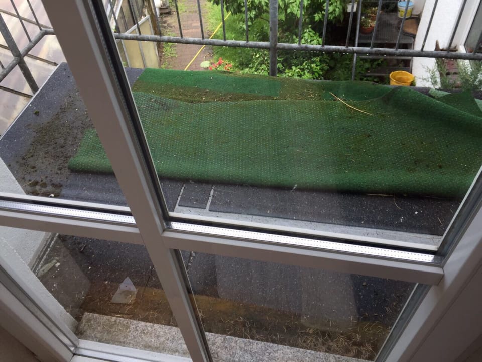 Zimmer Willeke's Blütenhof