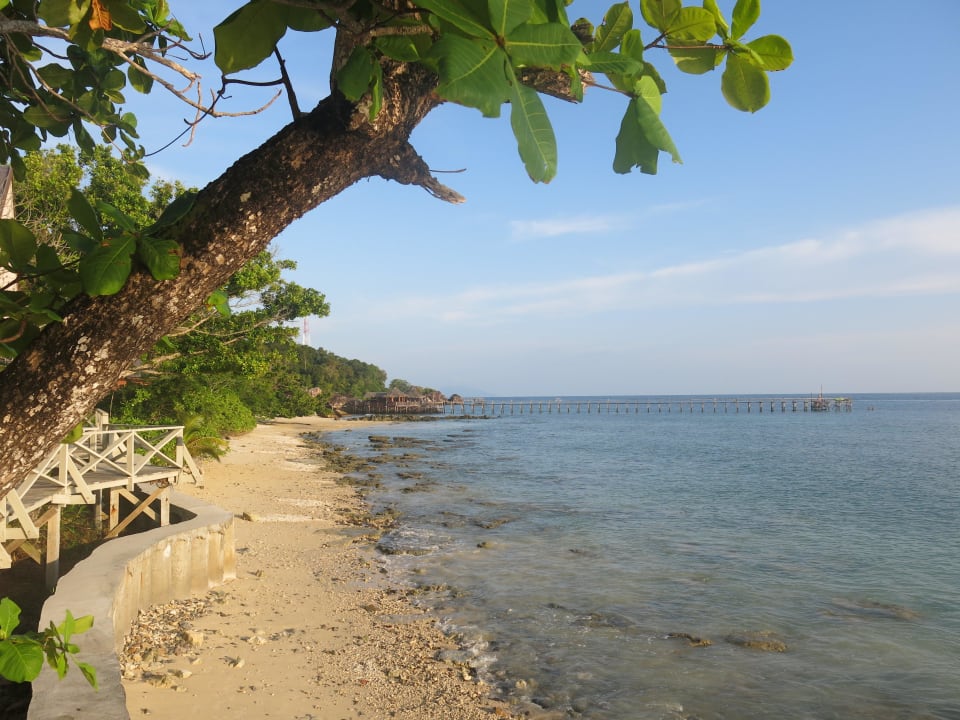 In der Bucht stehen Korallen bis zum Ufer Tunamaya Resort