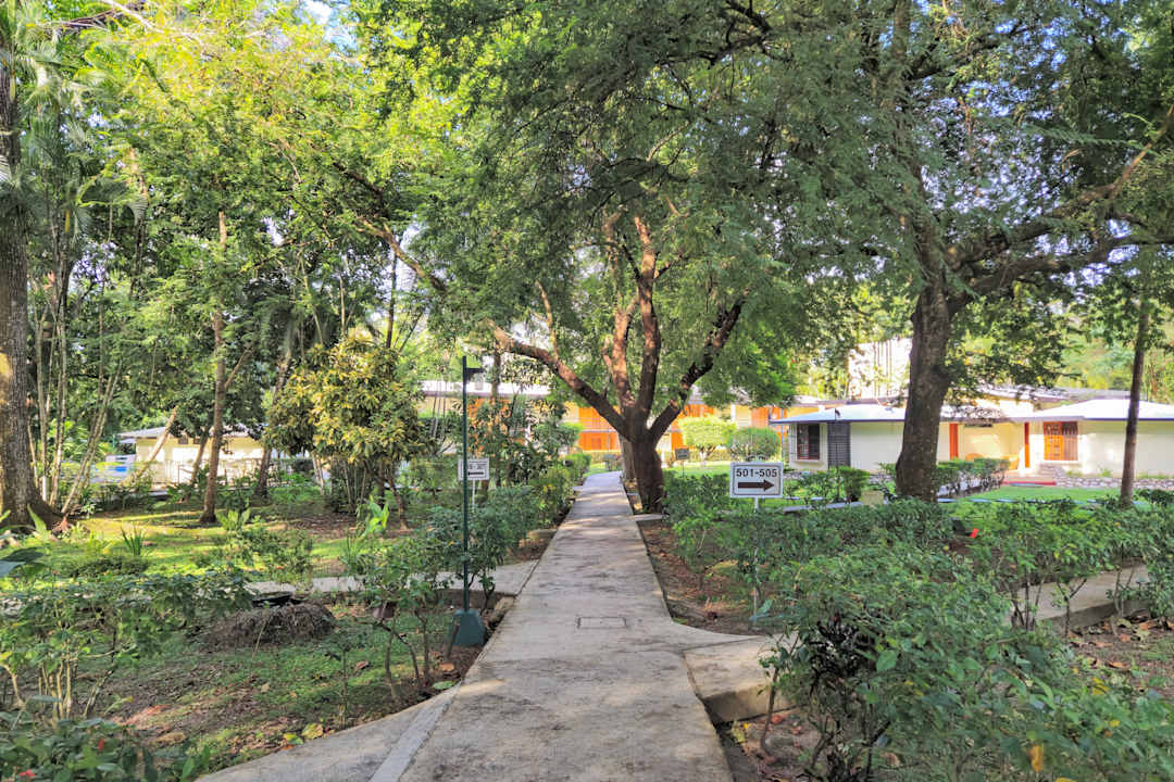 Gartenanlage Hotel Nututun Palenque