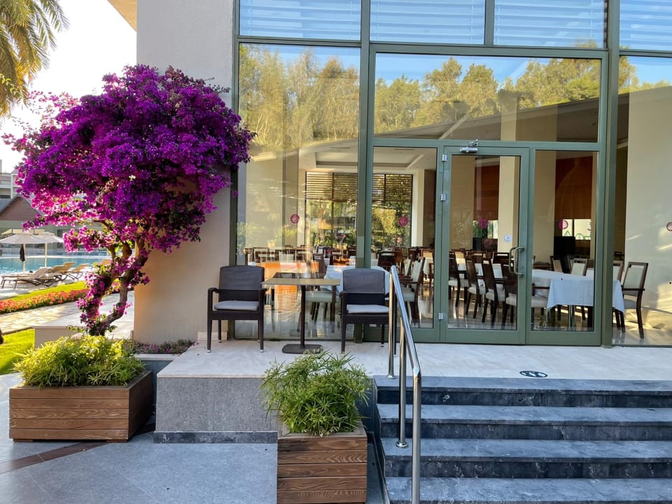 Gastro Arum Barut Collection