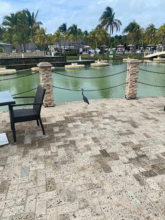 Gartenanlage Melia Las Antillas - Adults only