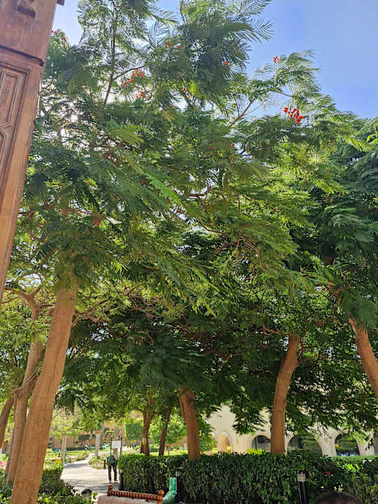 Gartenanlage Stella Beach Resort & Spa Makadi Bay