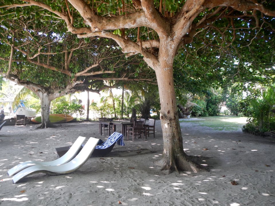 Gartenanlage Fairy Tern Chalet