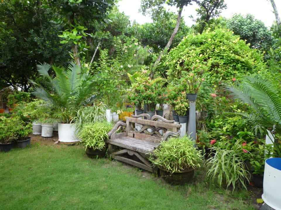 Garten  NH Collection Maldives Reethi Resort