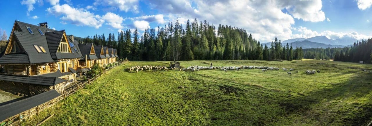 Widok na łąkę i góry Ferienhaus Tajgolka