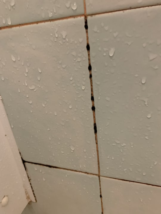 Sonstiges SI Rimini Hotel