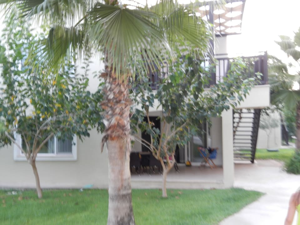 Вид территории Marvida Family Eco