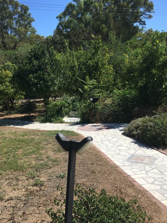 Gartenanlage Ilaria Hotel