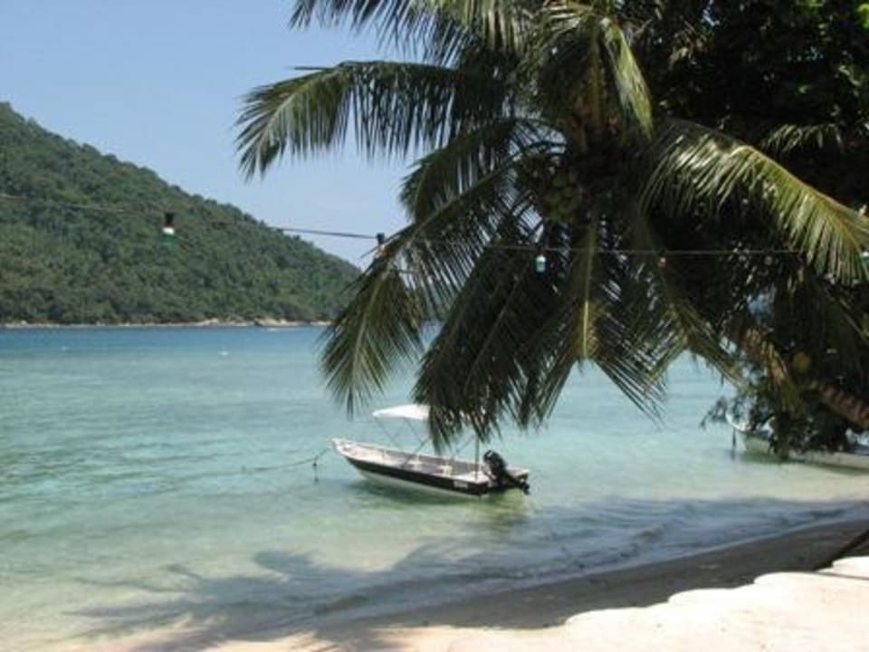 Ausicht vom Restaurant Mama`s Mama's Chalet