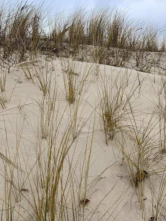 Strand Aparthotel Strandhus Familie Herrgott