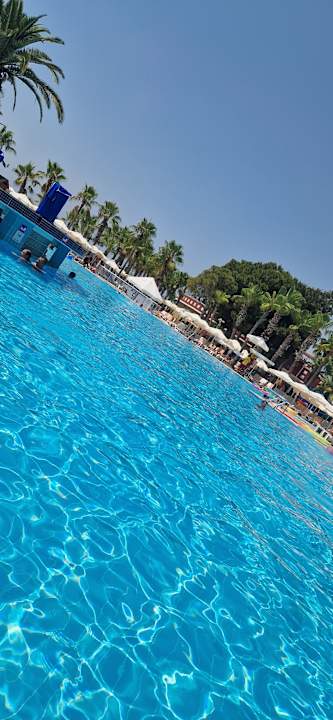 Pool Hotel Botanik Platinum