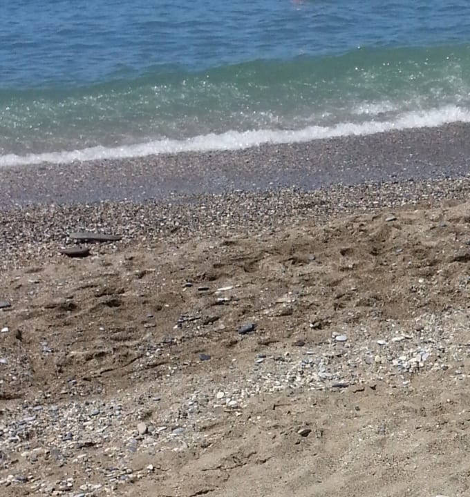 Strand Hotel Royal Garden Beach