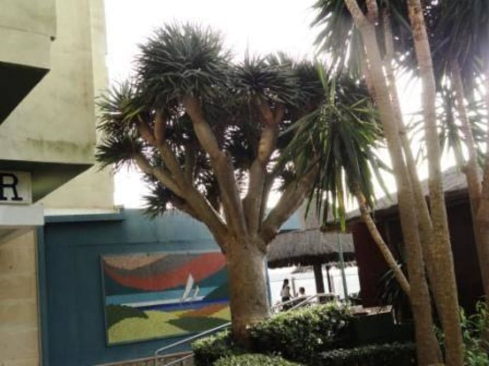 Wejście od strony plaży Hotel Vibra Beverly Playa