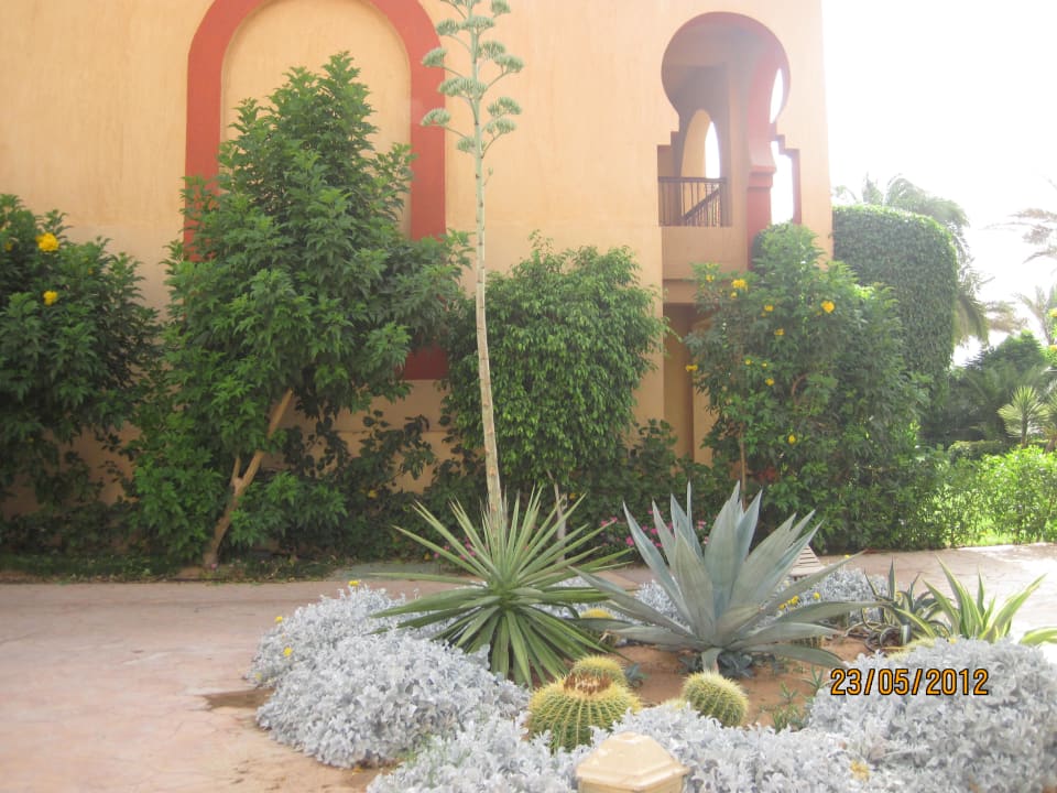 Красота Rehana Royal Beach Resort Aqua Park & Spa