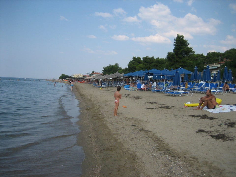 Strand von Psakoudia Philoxenia Hotel