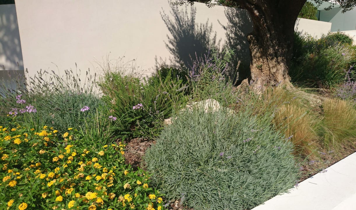 Garten Hipotels Bahía Cala Millor