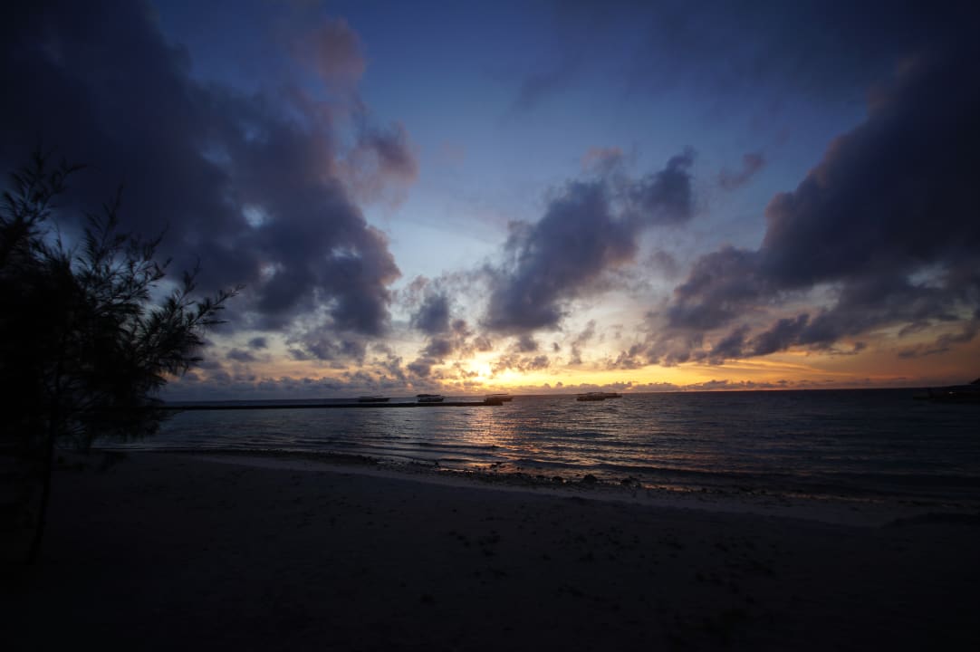 Strand Summer Island Maldives