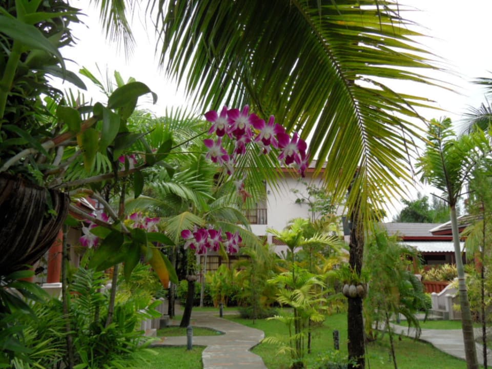 Tropengarten Fanari Khaolak Resort