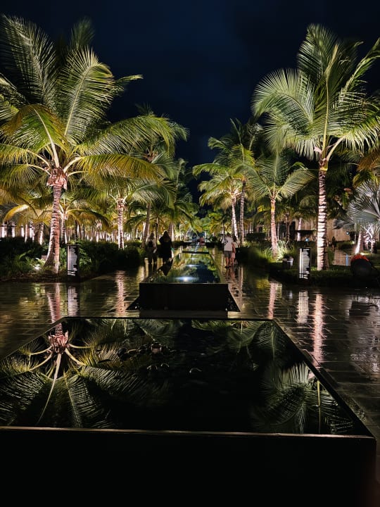 Gartenanlage Lopesan Costa Bávaro Resort, Spa & Casino