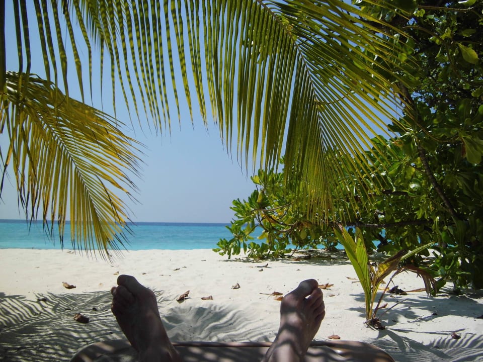 Relax nach dem Schnorcheln Kuredu Island Resort & Spa