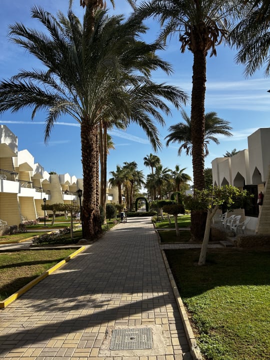 Gartenanlage Regina Resort and Aqua Park Hurghada