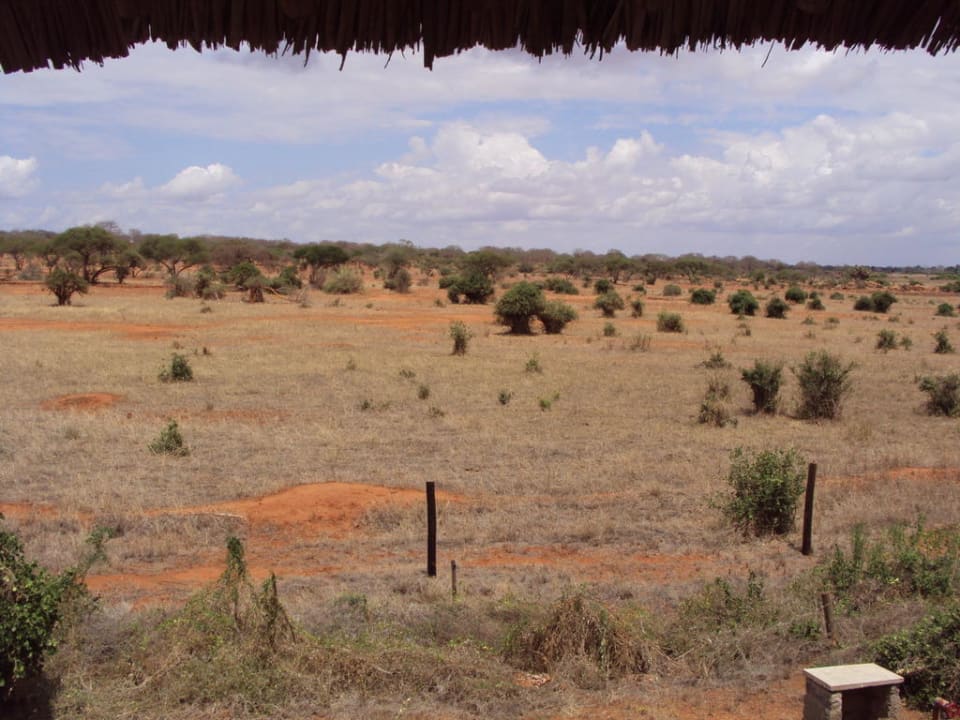 Ausblick aus unseren Zimmer Voi Wildlife Lodge