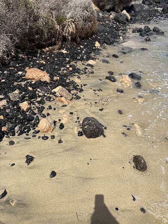 Strand SBH Hotel Taro Beach