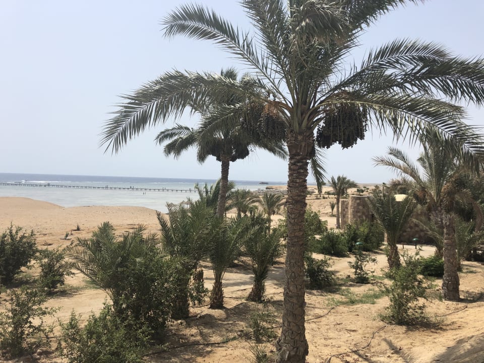 Ausblick Three Corners Fayrouz Plaza Beach Resort