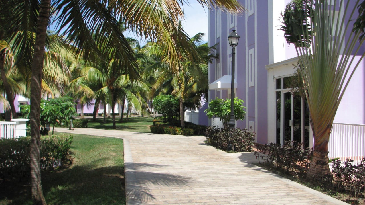 Resort Riu Montego Bay - Adults Only