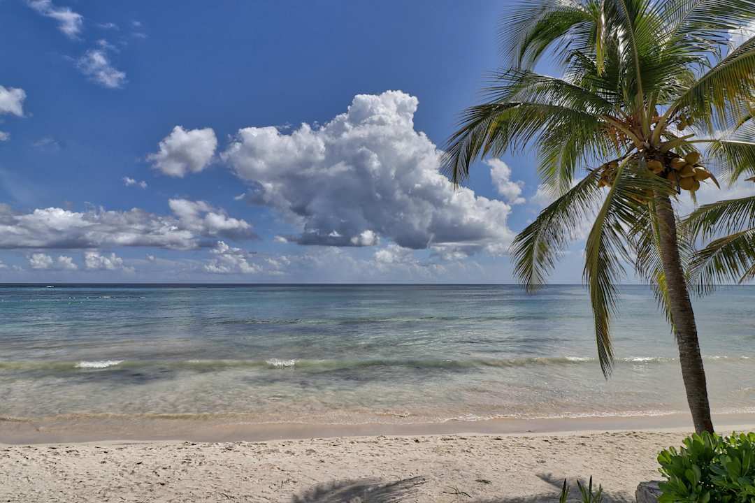 Strand Akumal Bay Beach & Wellness Resort