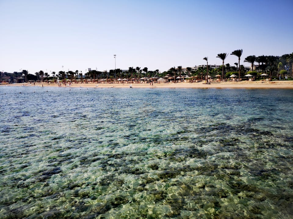 Strand Steigenberger Aqua Magic