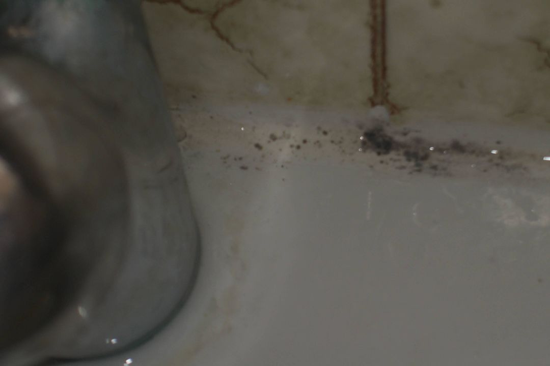 Schimmel Hotel Pinoverde del Golf