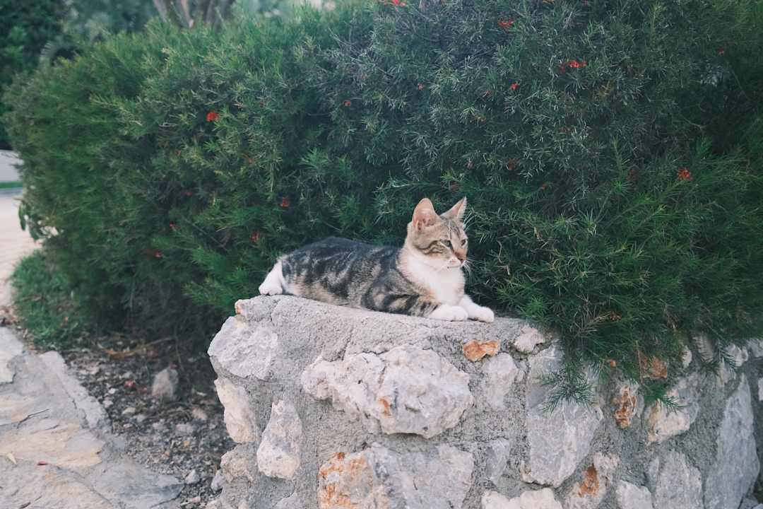 Sonstiges TUI BLUE Seno - Adults Only