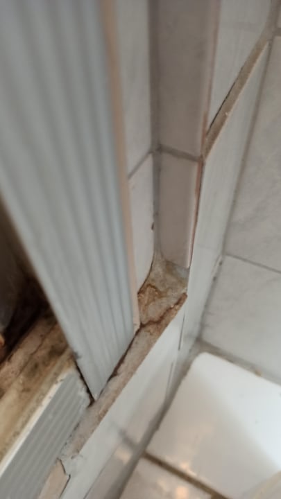 Zimmer Hotel Gremersdorf - Zum grünen Jäger