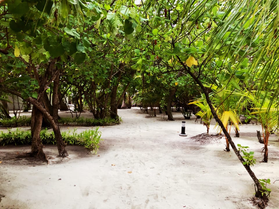Gartenanlage Filitheyo Island Resort