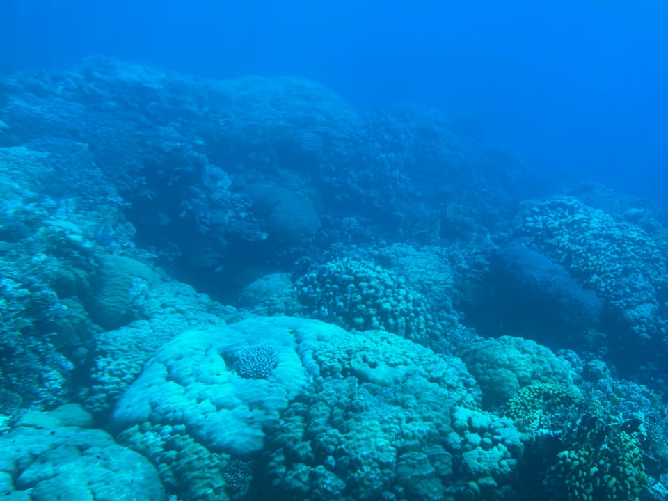 Sport & Freizeit Casa Mare Resort