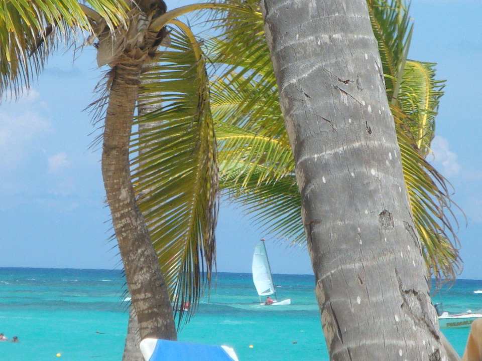 Das Meer Hotel Riu Bambu