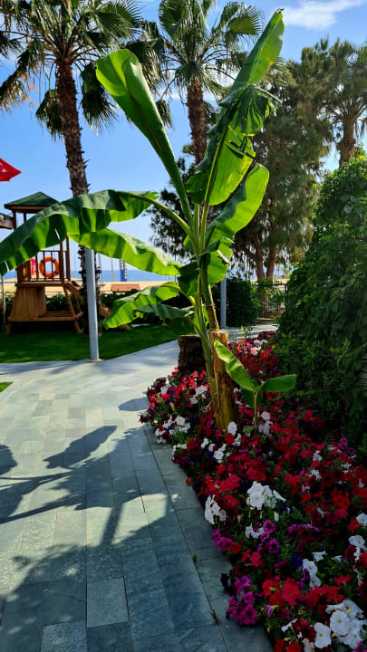 Gartenanlage Arycanda Kirman Premium