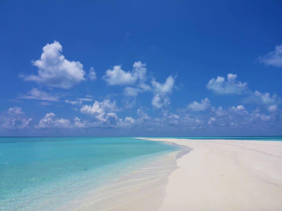 Sandbank Kuramathi Maldives