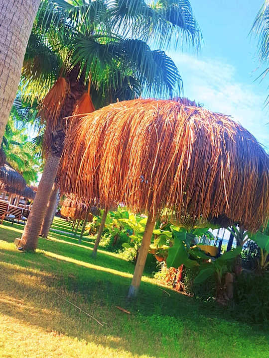 Gartenanlage Rubi Platinum Sign