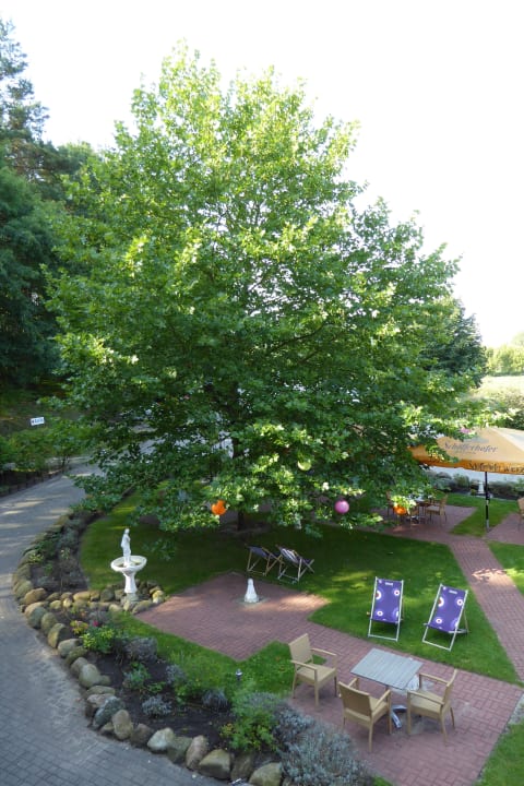 Blick vom Balkon Hotel & Spa Sommerfeld