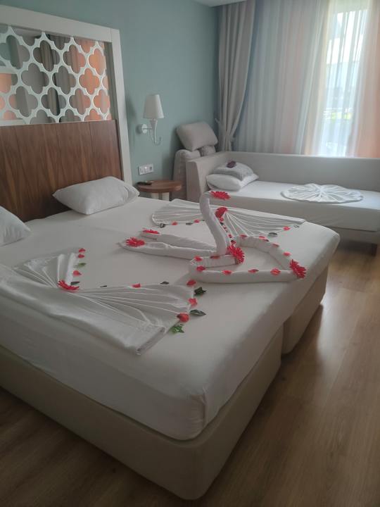 Zimmer Seashell Vega