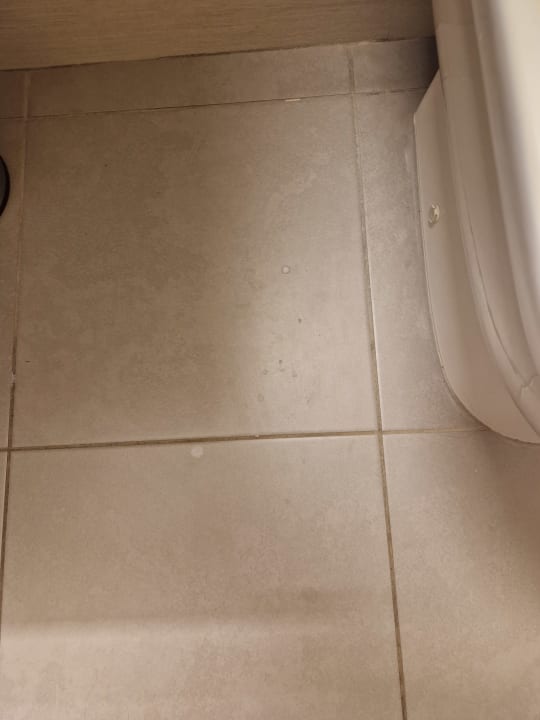 Zimmer blau punta reina