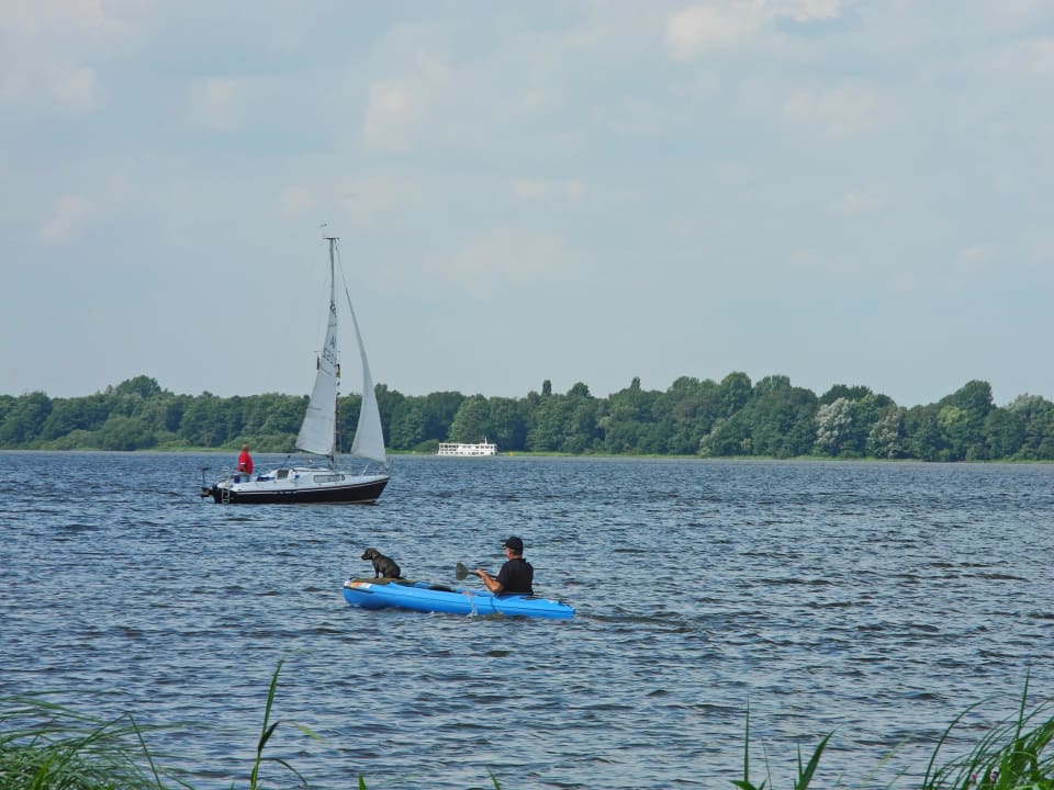 Haushund Rudi on Tour Romantik Hotel Jagdhaus Eiden am See