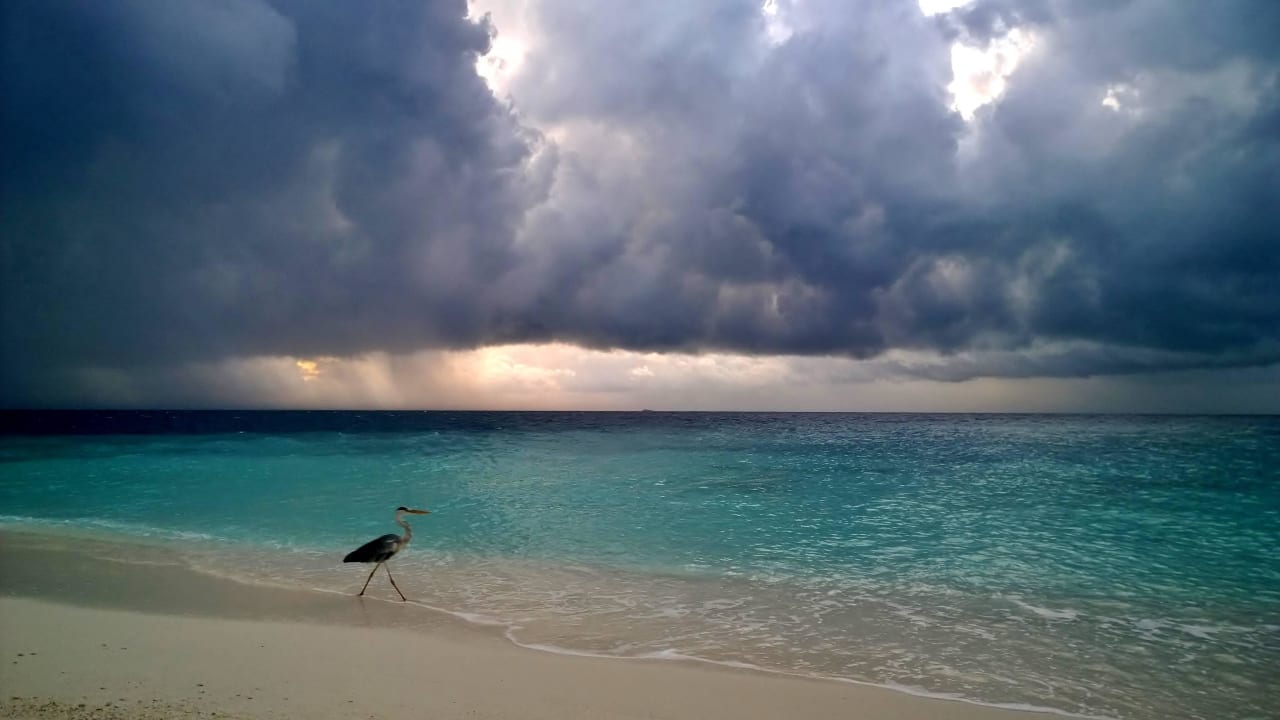Strand mit "Franco" Diamonds Thudufushi